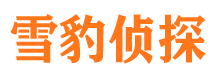 安达调查公司